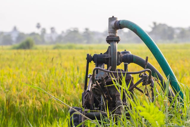 Water pump