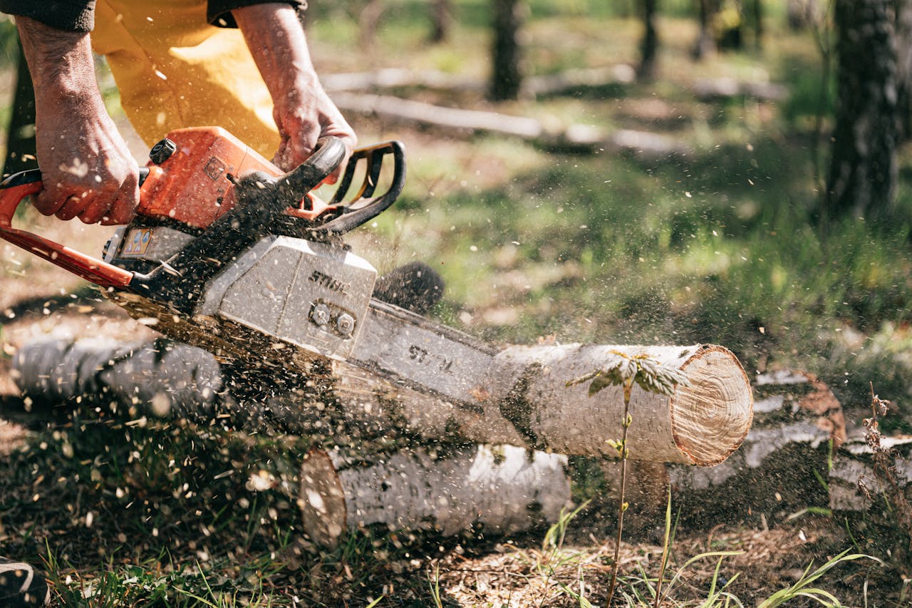 Chain saw
